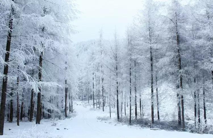 重庆冬天看雪景点,重庆最近看雪景的十大绝佳地点