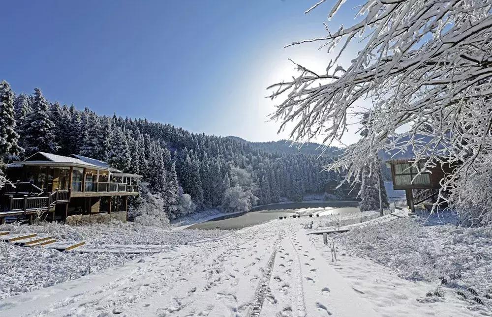 重庆冬天看雪景点,重庆最近看雪景的十大绝佳地点