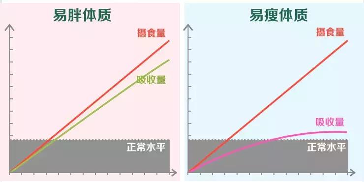 减肥成功后又复胖怎么办,减肥复胖10斤了怎么恢复