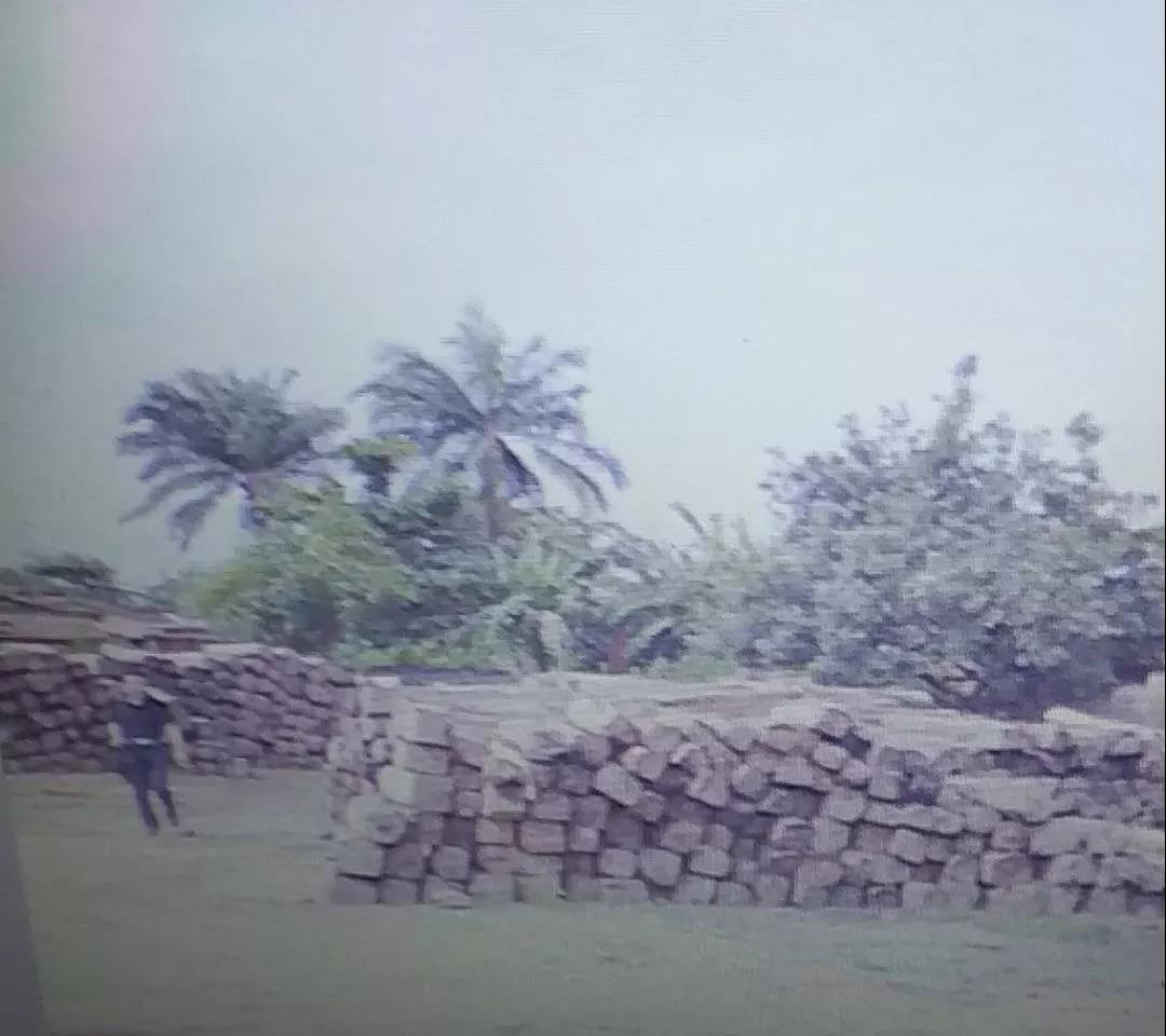 非洲花梨木2008年什么价？老红木人的回忆，惊醒无数人！