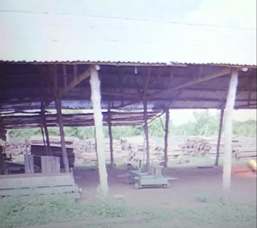 非洲花梨木2008年什么价？老红木人的回忆，惊醒无数人！