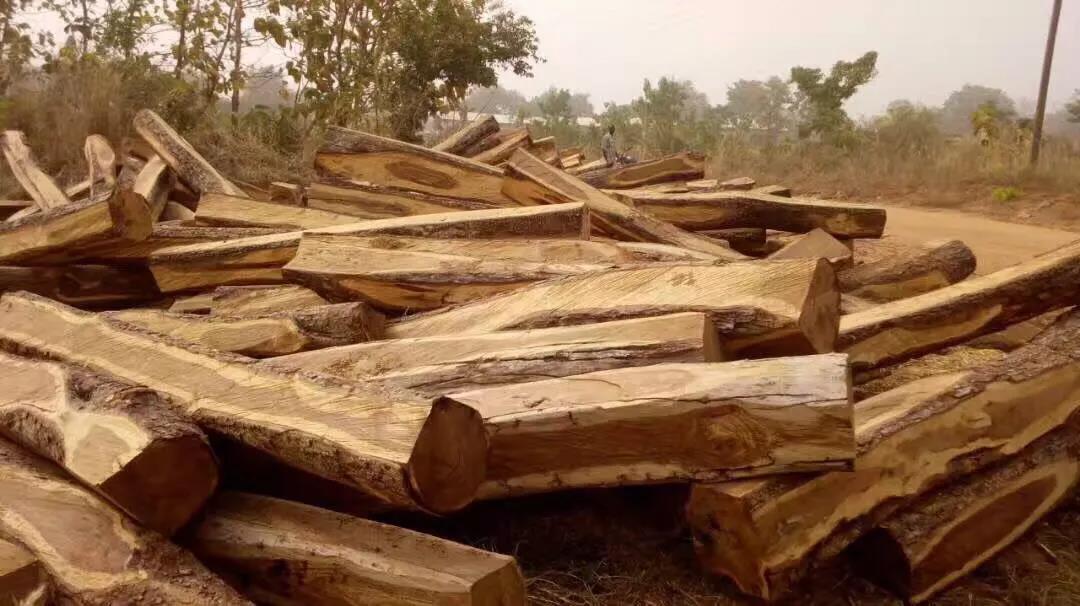 非洲花梨木2008年什么价？老红木人的回忆，惊醒无数人！