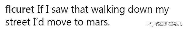 国外最近爆火的鞋子,国外很火的高跟鞋