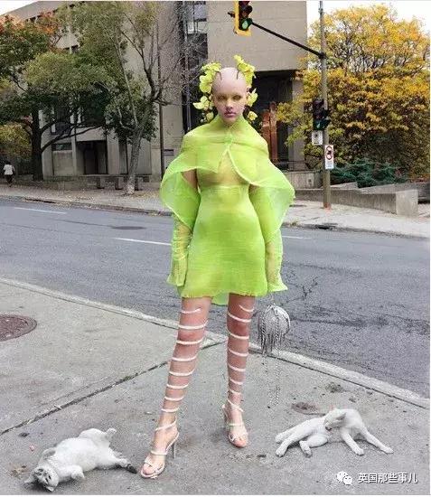 国外最近爆火的鞋子,国外很火的高跟鞋