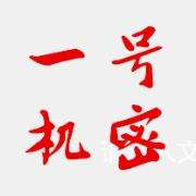 一号机密大揭秘合集,一号机密深度解析