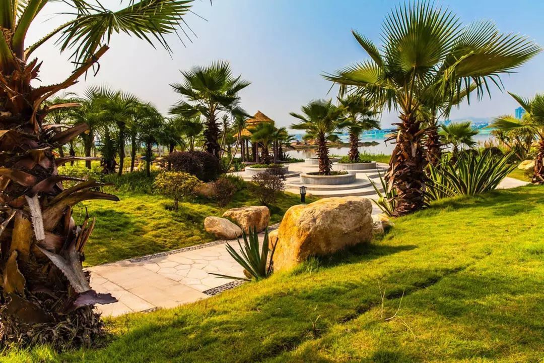 球队招募热血视频,球队招募运动员