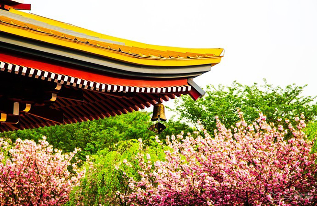 东湖磨山风景区半日游攻略图,东湖磨山景区视频春游