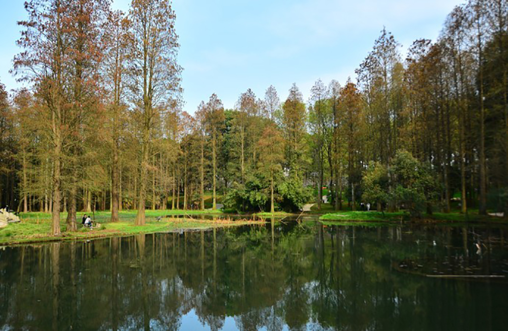 东湖磨山风景区半日游攻略图,东湖磨山景区视频春游
