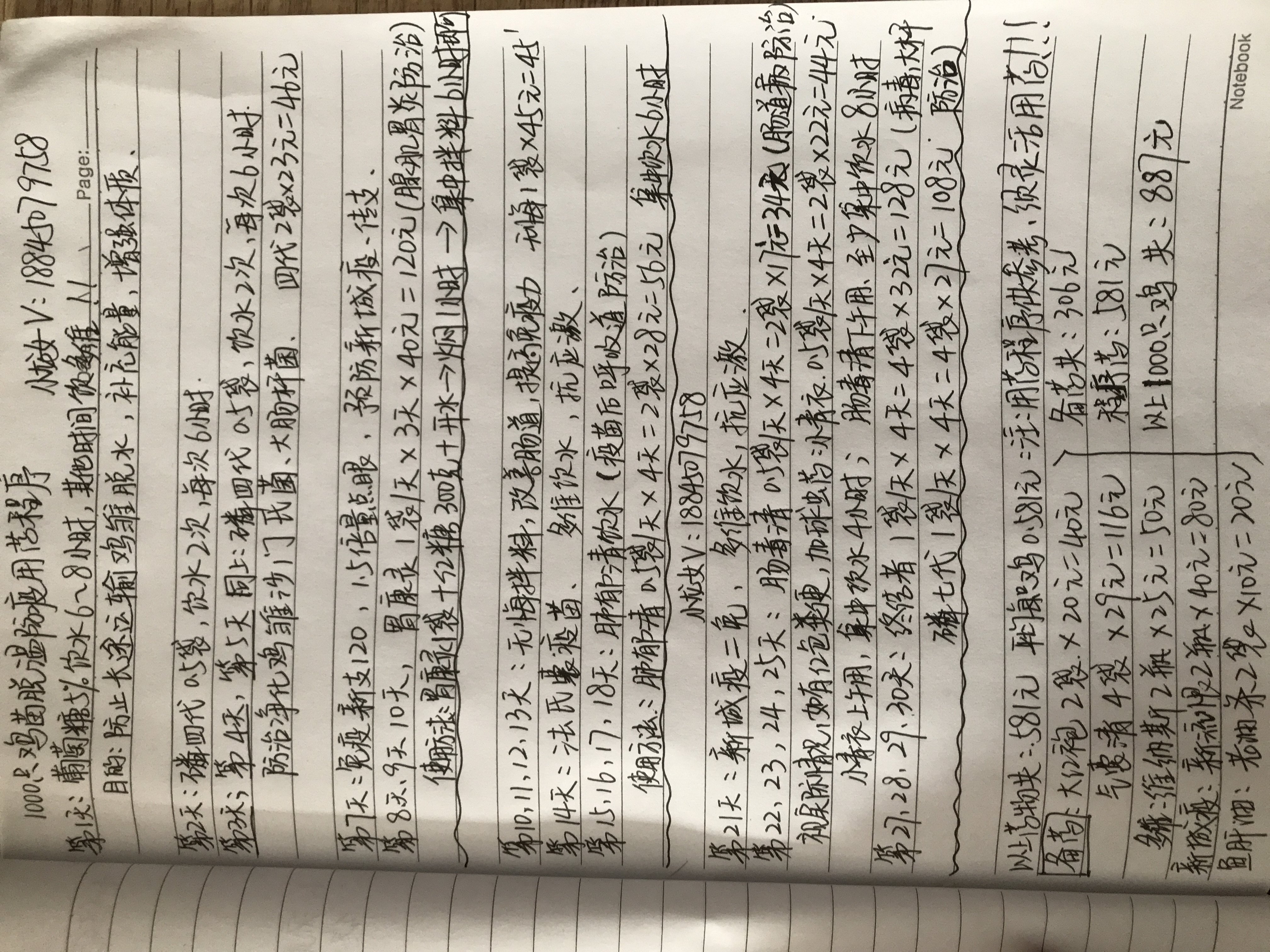 养鸡新模式土鸡,养鸡土鸡销路怎么样