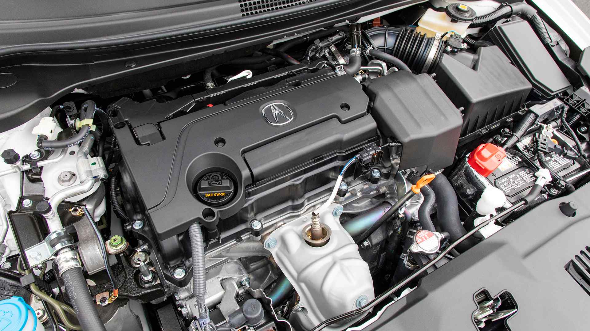 2019本田思域豪华款评价,本田思域豪华版车评