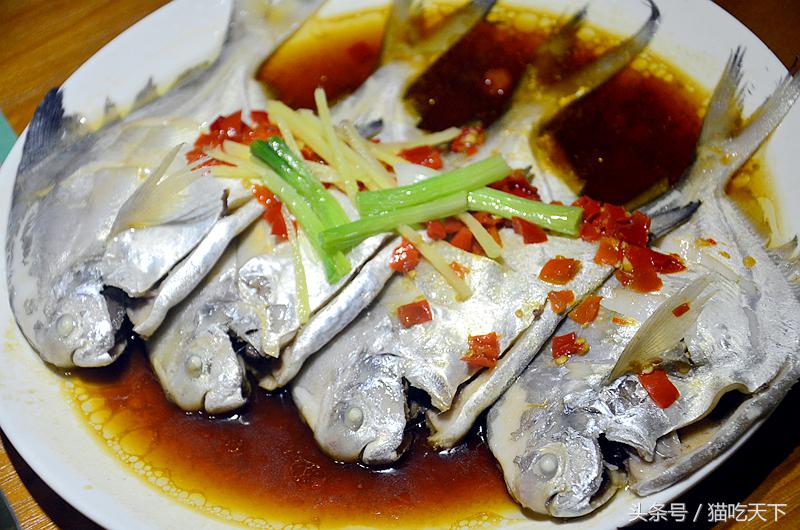 鼓浪屿岛上民宿酒店推荐,鼓浪屿上真正的好酒店