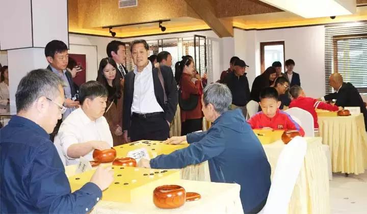 围棋少年的一生,围棋少年讲解视频全集