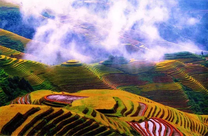 对不起我要去珠海买房,对不起我要去刺猹了