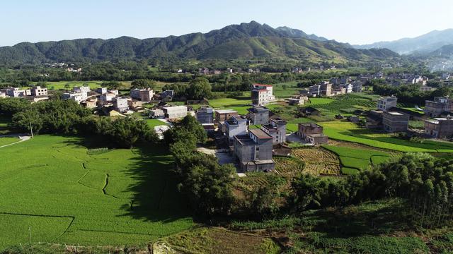 对不起我要去珠海买房,对不起我要去刺猹了