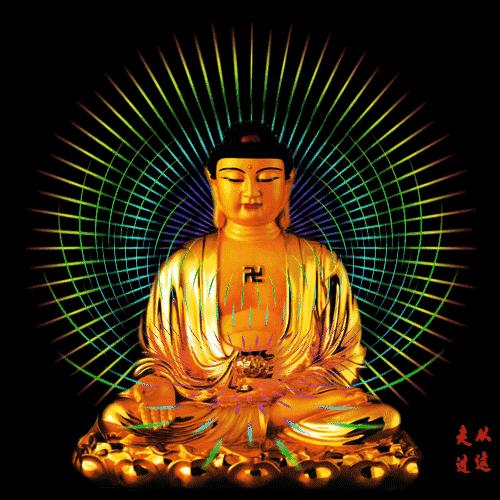 我姓李我骄傲剪辑版,我姓李我骄傲的视频