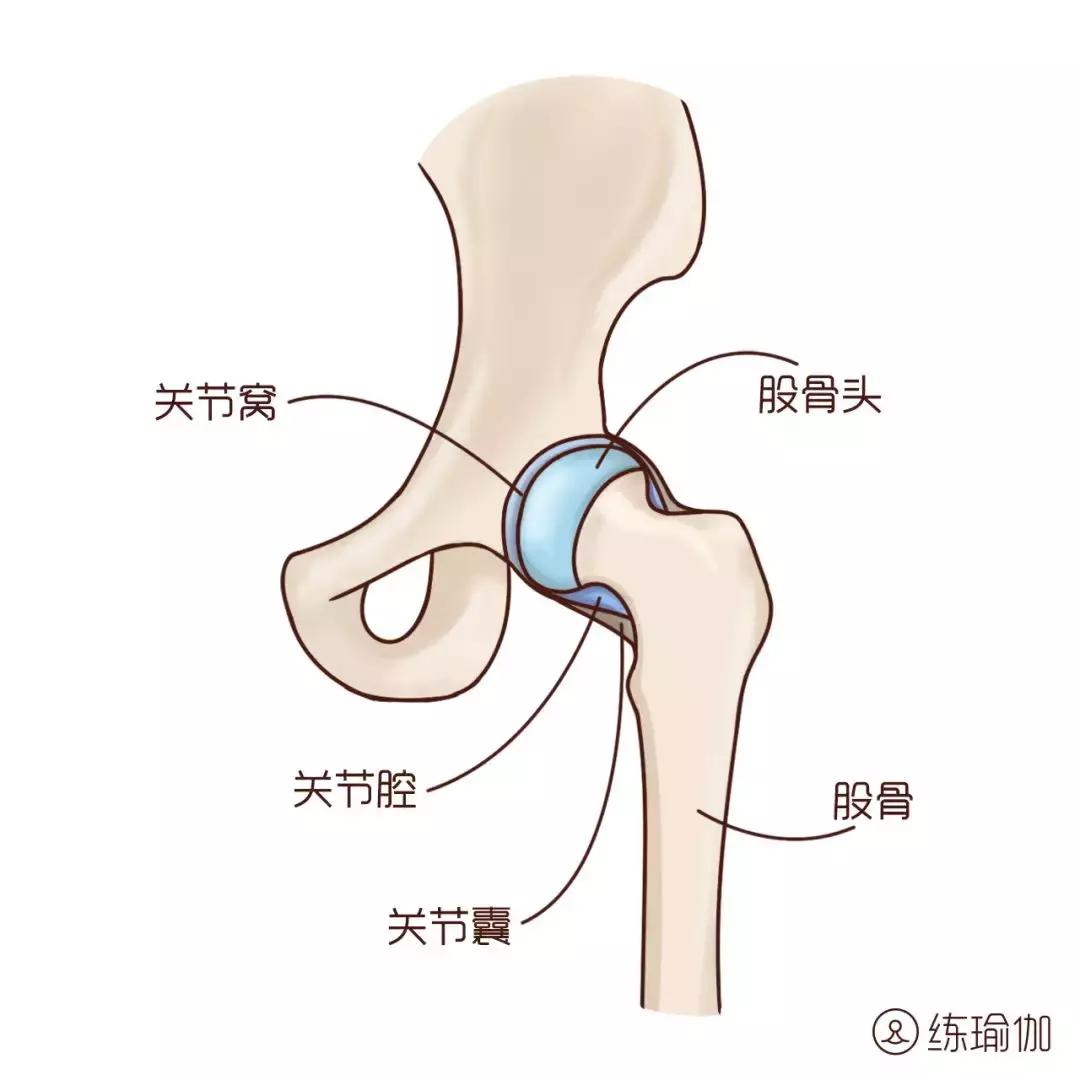 青蛙趴能开一字马吗,解锁一字马必须青蛙趴吗