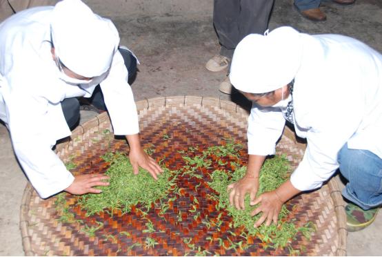 九指茶丐杨志华：做茶背后是战战兢兢做人