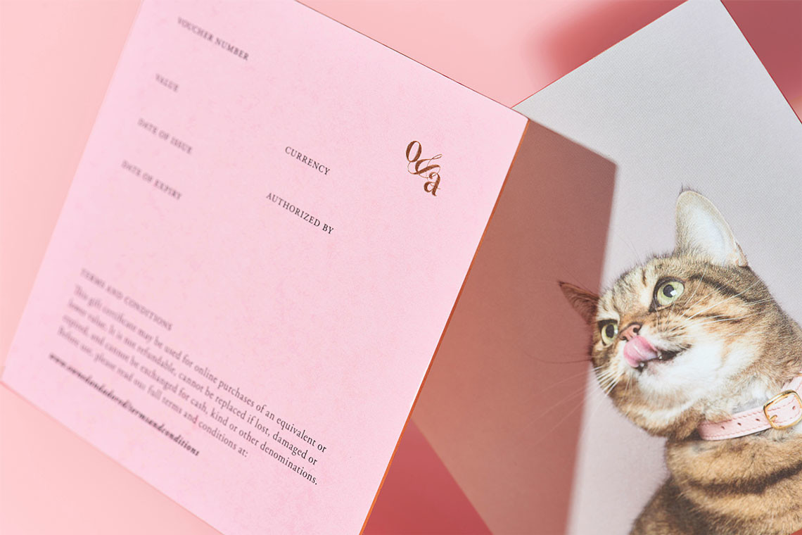 宠物项圈包装设计效果图,宠物用品包装袋设计