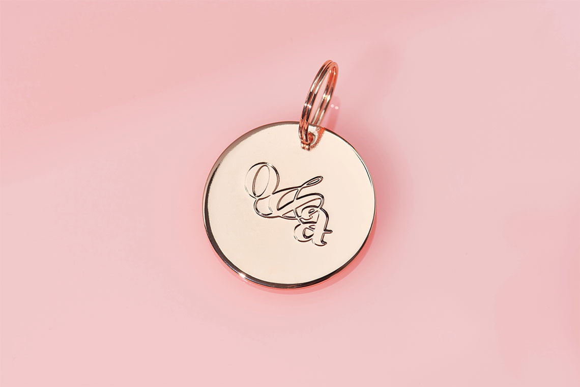 宠物项圈包装设计效果图,宠物用品包装袋设计