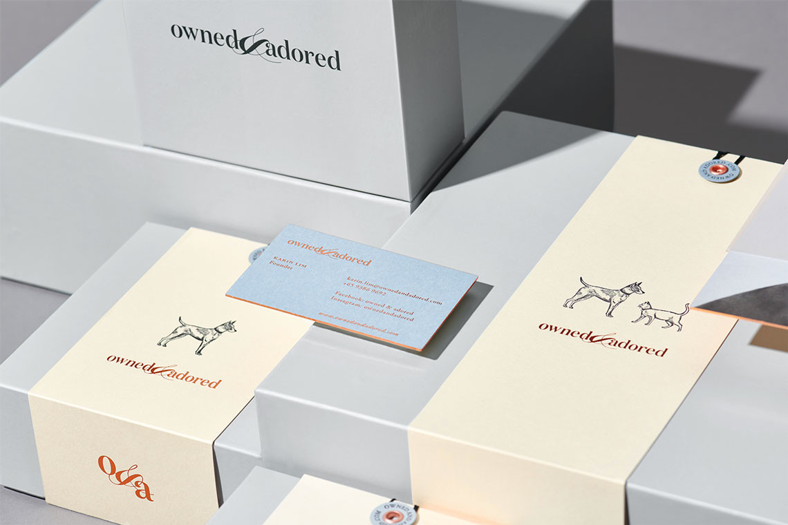 宠物项圈包装设计效果图,宠物用品包装袋设计