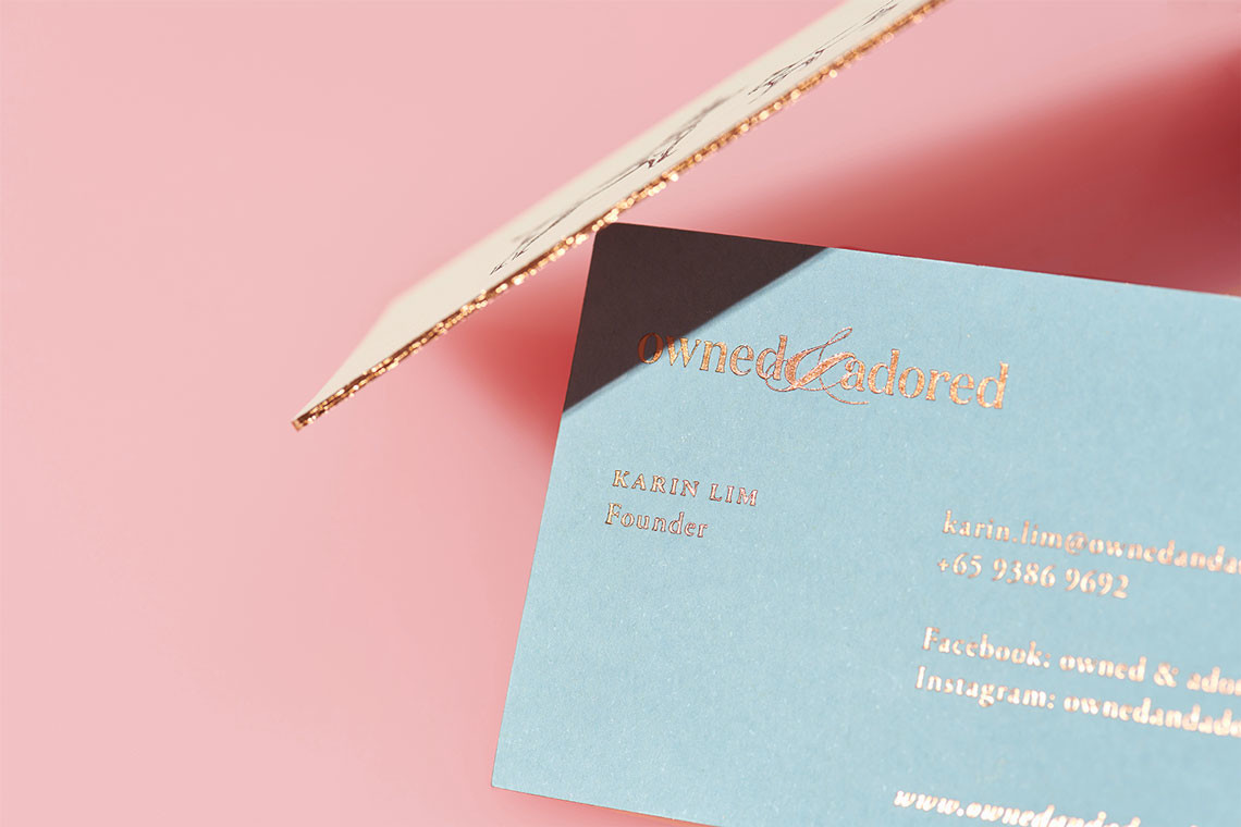 宠物项圈包装设计效果图,宠物用品包装袋设计