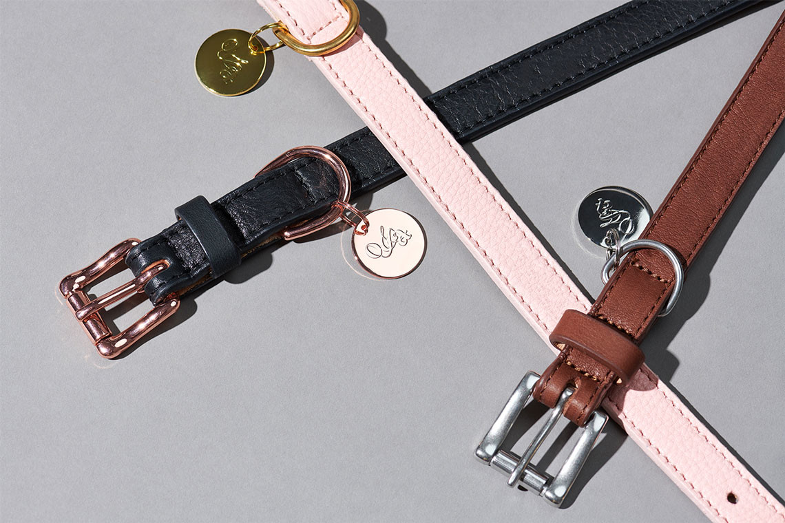 宠物项圈包装设计效果图,宠物用品包装袋设计