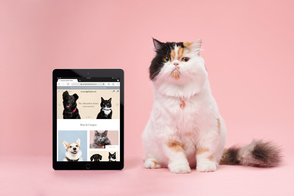 宠物项圈包装设计效果图,宠物用品包装袋设计