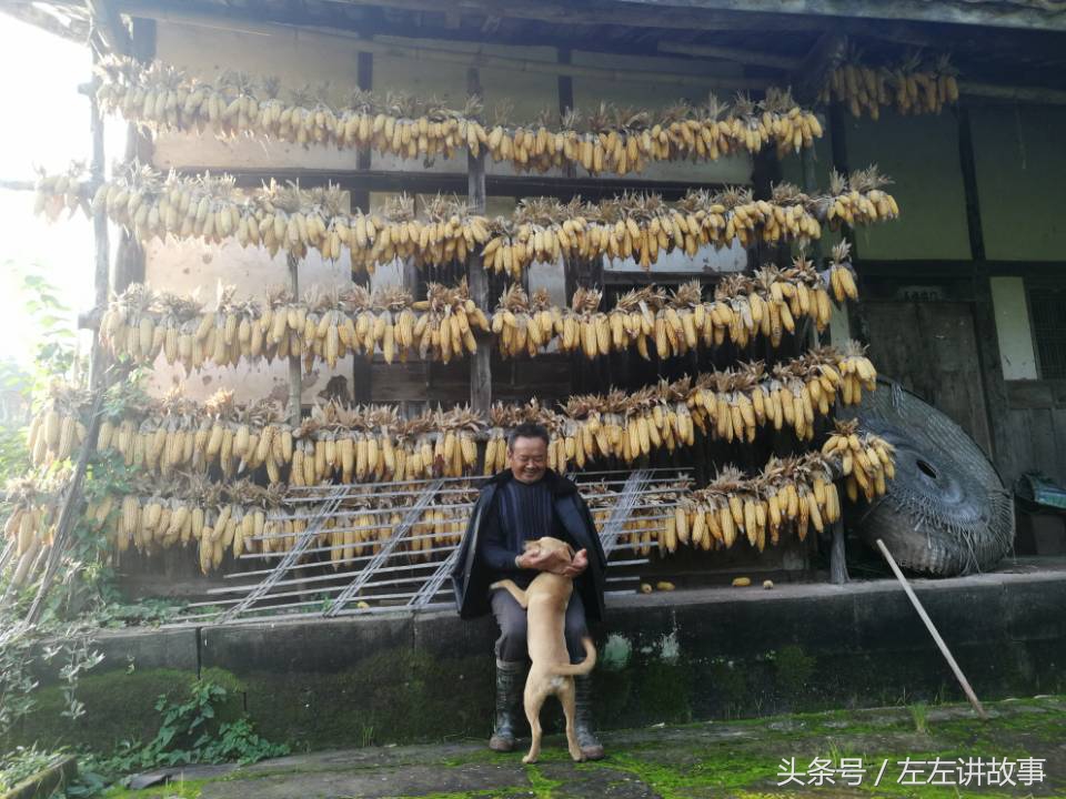 四川岳池有哪些景点,四川岳池最繁华的小镇