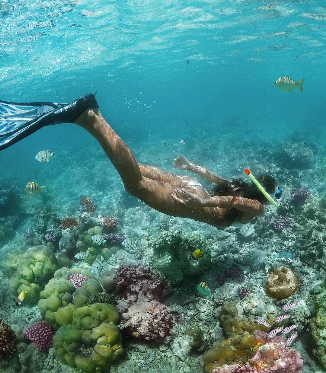 马尔代夫多个绝佳的岛屿推荐,探索马尔代夫最迷人的度假胜地
