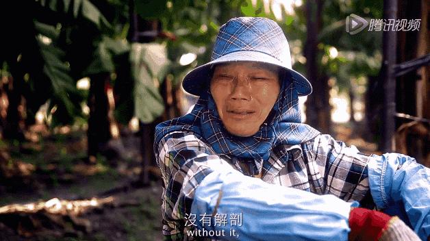 孩子被踢头妈妈教孩子打回去,三岁孩子被妈妈踢原视频