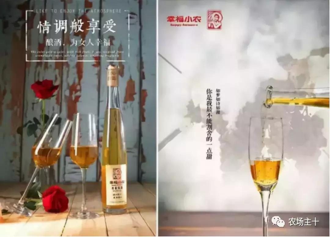 他用一块地做火2个产业,在冰葡萄田里把黑豆卖出4000万