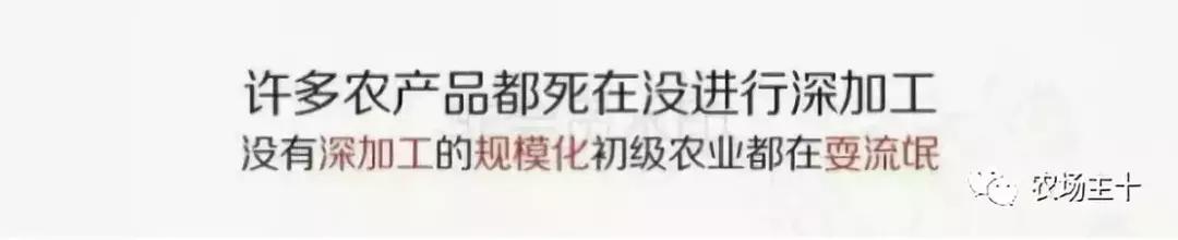 他用一块地做火2个产业,在冰葡萄田里把黑豆卖出4000万