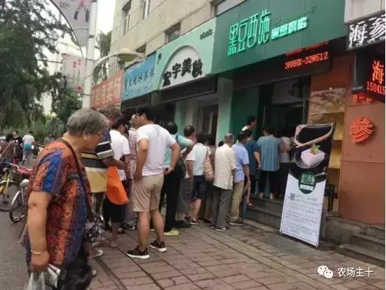 他用一块地做火2个产业,在冰葡萄田里把黑豆卖出4000万