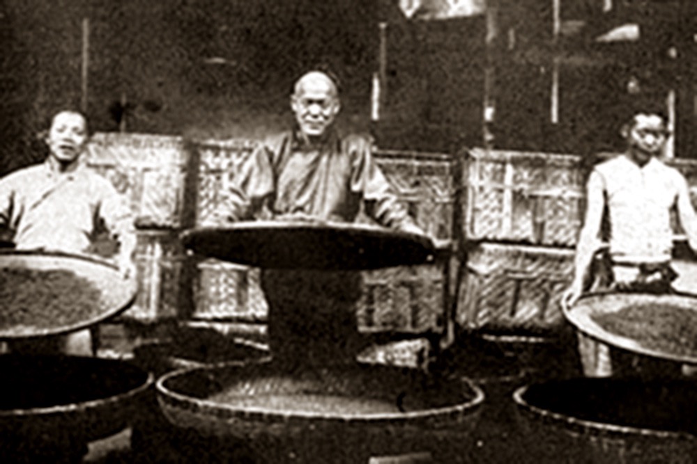 中国十大茶的发展历史,近代茶界各历史大佬