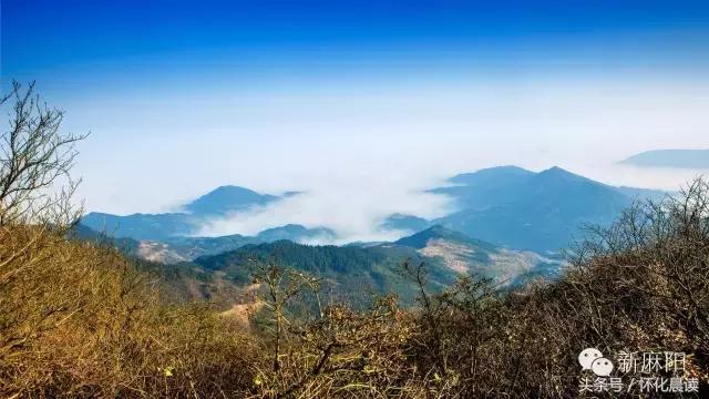 大家好，我叫“麻阳苗族自治县”，今年30岁了！