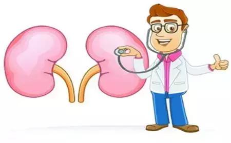 一个人可以有三个肾吗,拥有四个肾是种什么体验