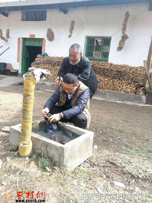 找到肇事者，帮忙洗衣服，被牛虻蛰！村书记满涛的侠客传