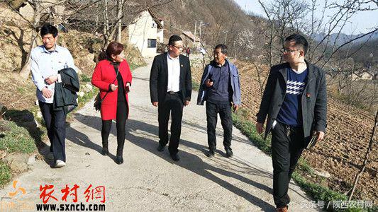 找到肇事者，帮忙洗衣服，被牛虻蛰！村书记满涛的侠客传