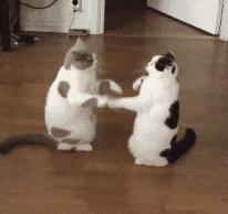 解决产后妈妈的烦恼！秘密是……