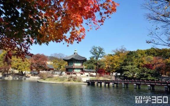 去韩国留学要带什么吃的,去韩国留学必带清单