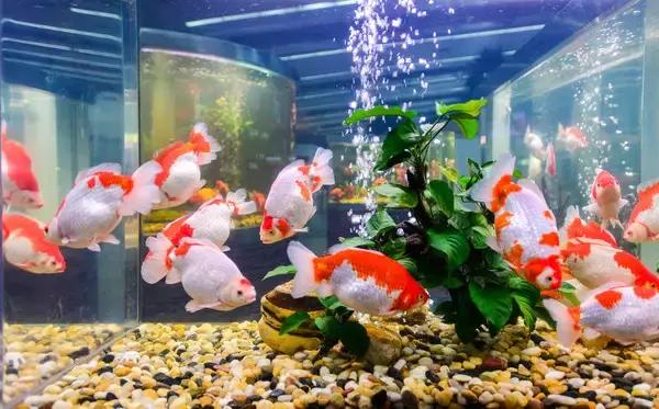 风水名师讲风水,与不信风水的人讲风水