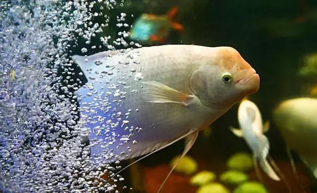 风水名师讲风水,与不信风水的人讲风水