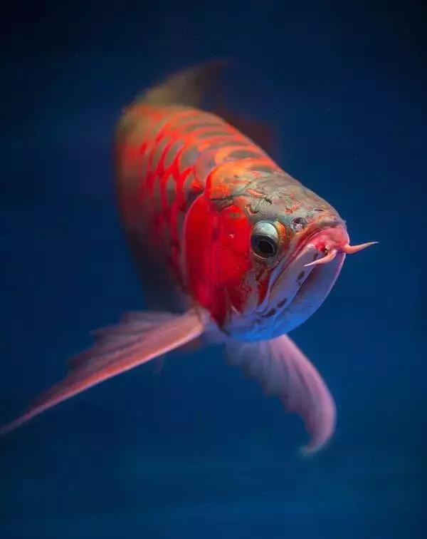 风水名师讲风水,与不信风水的人讲风水