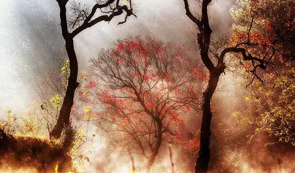 大悟,一个和婺源相媲美的地方,等了一整年的最红秋色终于来了!