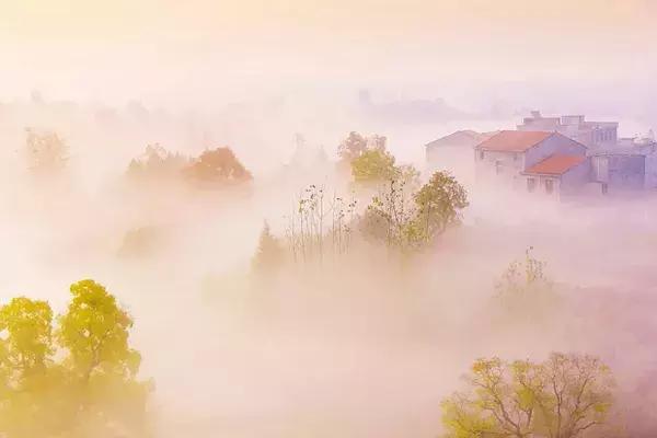 大悟,一个和婺源相媲美的地方,等了一整年的最红秋色终于来了!