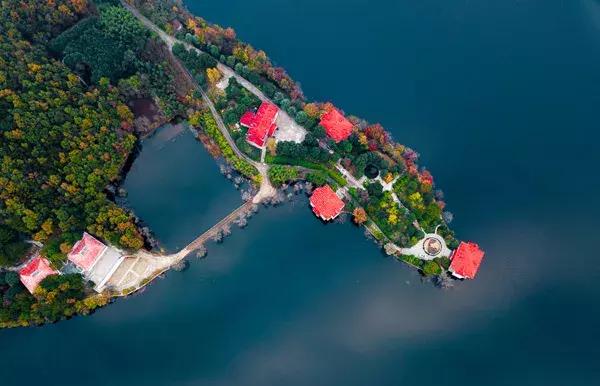 大悟,一个和婺源相媲美的地方,等了一整年的最红秋色终于来了!