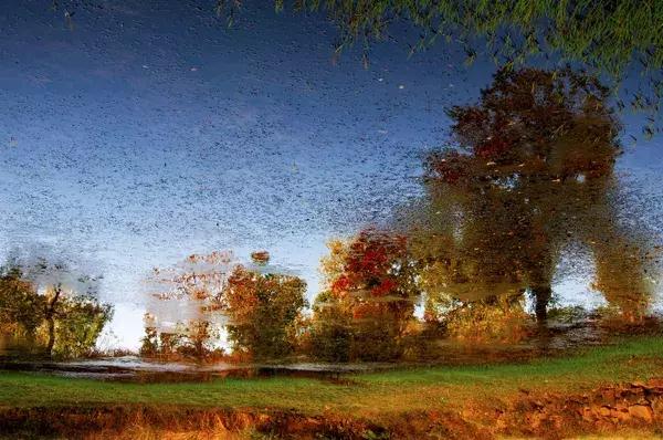 大悟,一个和婺源相媲美的地方,等了一整年的最红秋色终于来了!