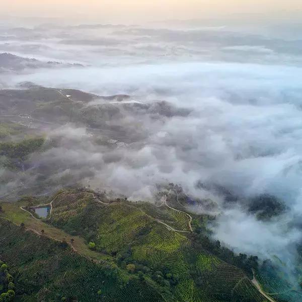 大悟,一个和婺源相媲美的地方,等了一整年的最红秋色终于来了!