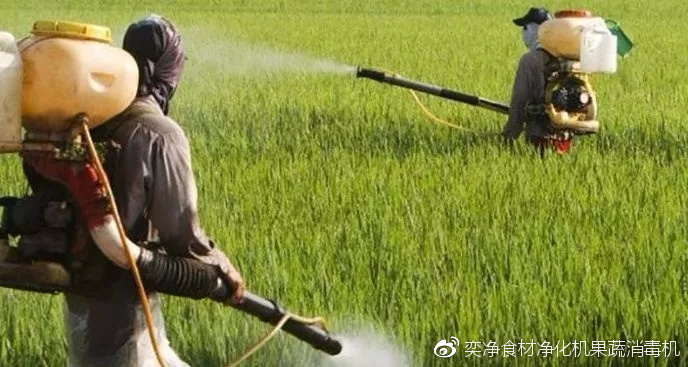 澳洲麦片是天然麦片吗,澳洲低糖麦片