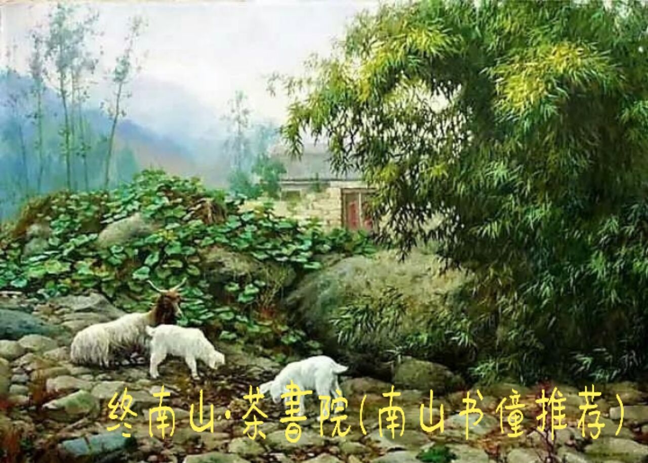 太乙游龙山终南茶书院——《问道》南山书僮文/尉迟英子